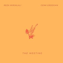 Album cover of The Meeting (feat. Cenk Erdogan)