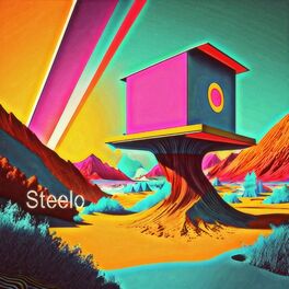 Album cover of Steelo