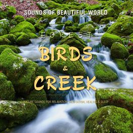 Album cover of Forest: Birds & Creek (Nature Sounds for Relaxation, Meditation, Healing & Sleep)