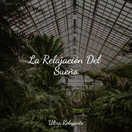 Album cover of La Relajación Del Sueño