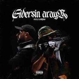 Album cover of GİDERSİN ARAYA