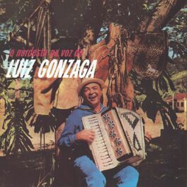 Album cover of O Nordeste Na Voz De Luiz Gonzaga
