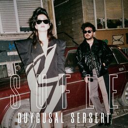 Album cover of Duygusal Serseri