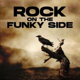 Album cover of Rock On the Funky Side