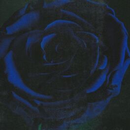 Album cover of Ghost (Acoustic)