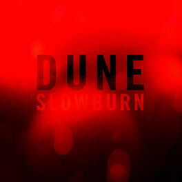 Album cover of Slowburn
