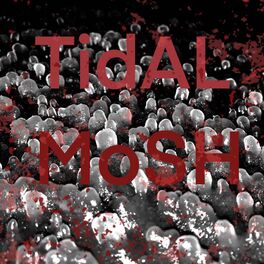 Album cover of Tidal Mosh (feat. DK Ultra)