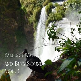 Album cover of Binaural: Falling Water and Bug Sound Vol. 1