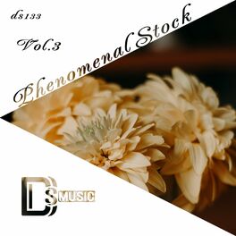 Album cover of Phenomenal Stock, Vol. 3