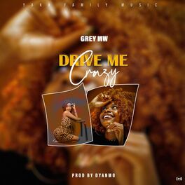 Album cover of Drive Me Crazy
