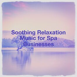Album cover of Soothing Relaxation Music for Spa Businesses