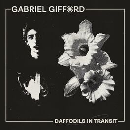Album cover of Daffodils in Transit