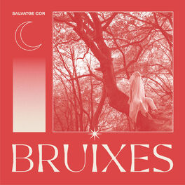 Album cover of bruixes