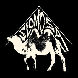 Album cover of Slomosa
