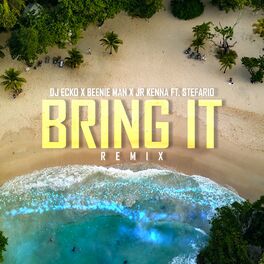 Album cover of Bring It (Remix)