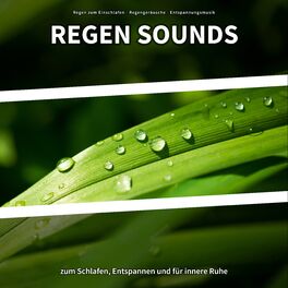 Album cover of Regen Sounds zum Schlafen, Entspannen und für innere Ruhe