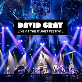 Album cover of Live at the  Festival