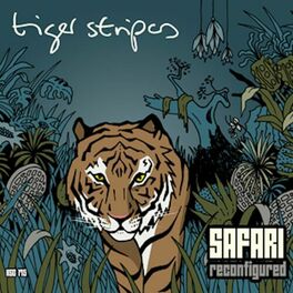 Album cover of Safari Reconfigured