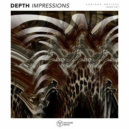 Album cover of Depth Impressions Issue #27
