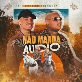 Album cover of Não Manda Áudio