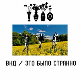Album cover of ВНД / Это было странно