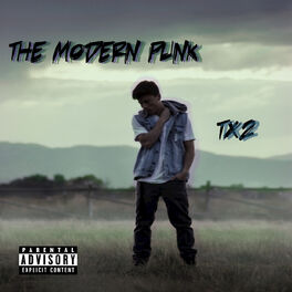 Album cover of The Modern Punk