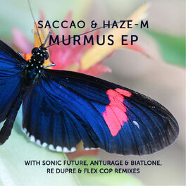 Album cover of Murmus EP