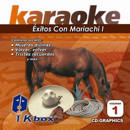 Album cover of Éxitos Con Mariachi I