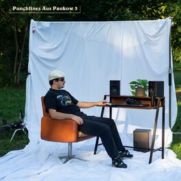 Album cover of Punchlines aus Pankow 3