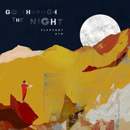 Album cover of Go Through the Night