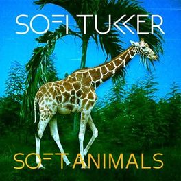 Album cover of Soft Animals EP