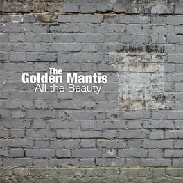 Album cover of All the Beauty