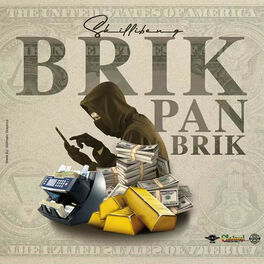 Album cover of Brik Pan Brik