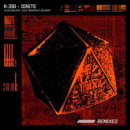 Album picture of Ignite (Remixes)