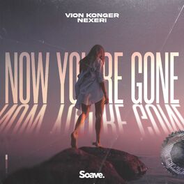 Album cover of Now You're Gone
