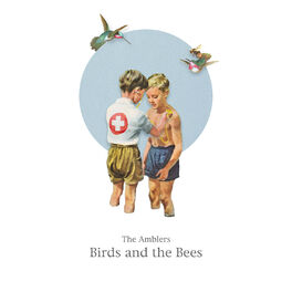 Album cover of Birds and the Bees