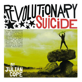 Album cover of Revolutionary Suicide