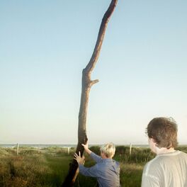 Album cover of swings