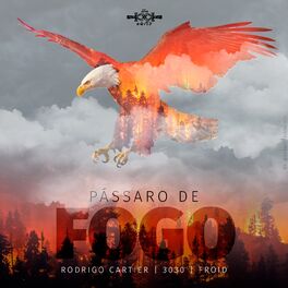 Album cover of Pássaro de Fogo
