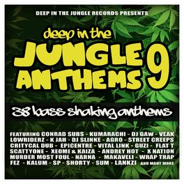 Album cover of Deep In The Jungle Anthems 9 - The Final Chapter