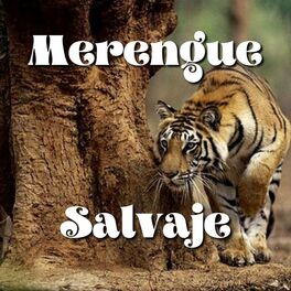 Album cover of Merengue Salvaje