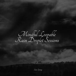 Album cover of Mindful Loopable Rain Droplet Sessions