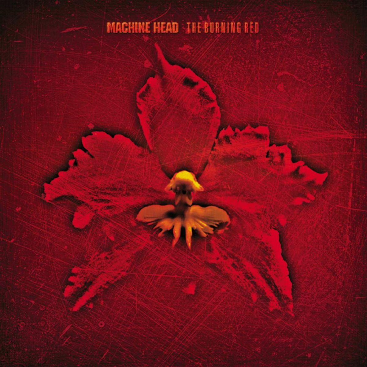 Machine Head: альбомы, песни, плейлисты | Слушайте на Deezer