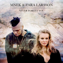 Album cover of Never Forget You