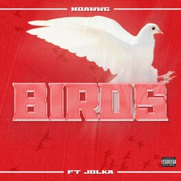 Album cover of Birds (feat. Jolka)