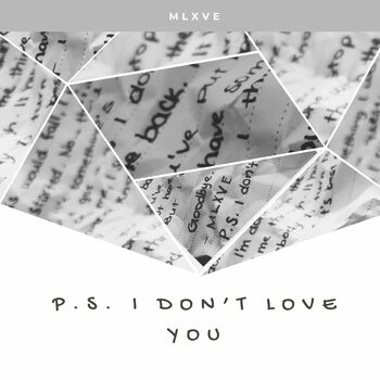 P.S. I Don't Love You cover