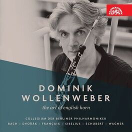 Album cover of The Art of English Horn