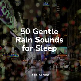 Album cover of 50 Gentle Rain Sounds for Sleep