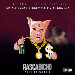 Album cover of Rascabicho