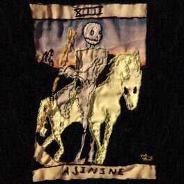 Album cover of XIII